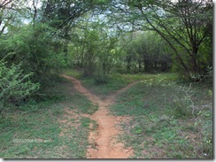 Take path to left