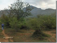 Carol on path, Arunachala in background