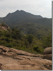 Arunachala from Papaji's cave area