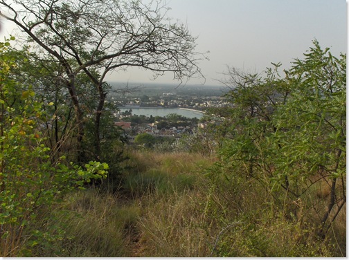 View to the right of the path