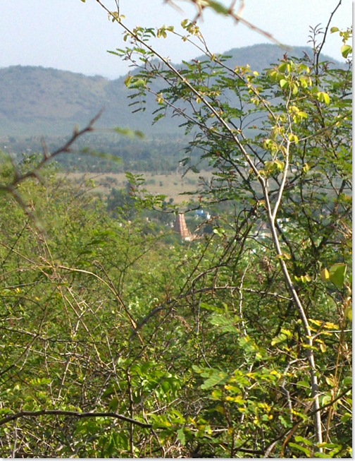HPIM4416adi amalai