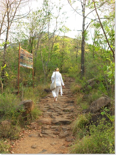 Starting to climb up the path