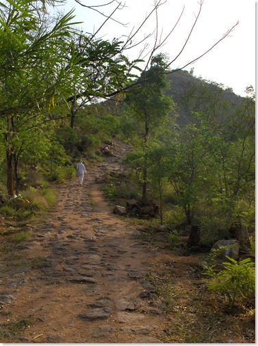 Up the path