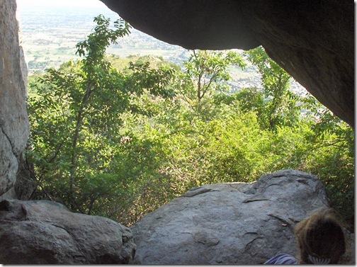 HPIM7988