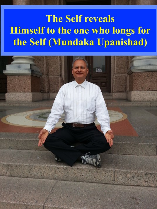 Chin Mudra - Jnana Mudra