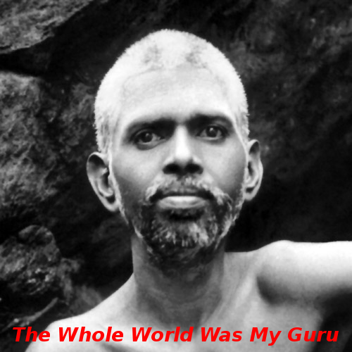 Whole world guru