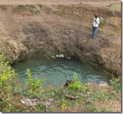 Elsest son fully submerged