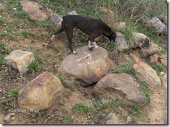 Or the Om Amma and Arrow