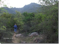 Up the path to the mountain
