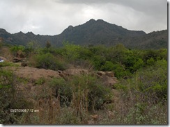 Arunachala from path
