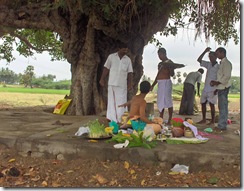 Taking rice balls to the crows