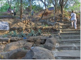 Starting on the path 