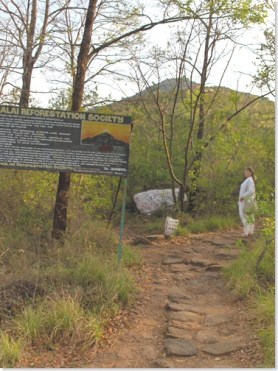 The path forfs, Skandashram to the right