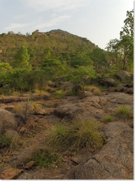 To the  left, a place to sit and meditate