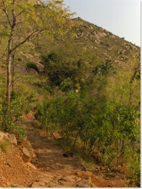 Final leg of the path