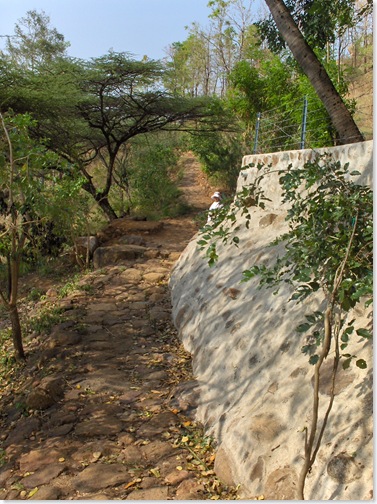 Path back to Ramanasramam