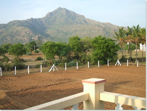Arunachala from Brindavanam
