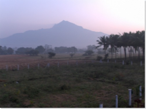 Arunachala in early morning light
