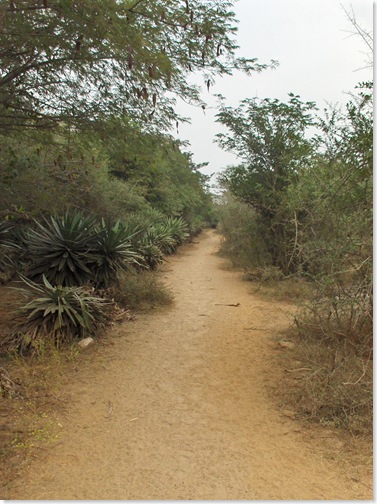 Start of path on backside