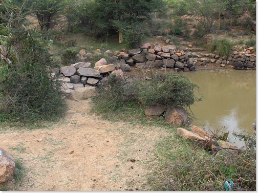 Frog tank, on backside