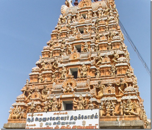 Adi Annamalai goporum close up