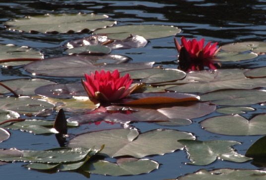 cid_008901c36830a6d965d0fa00a8c0innoweb1