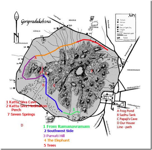 Arunachala Inner Path Trees