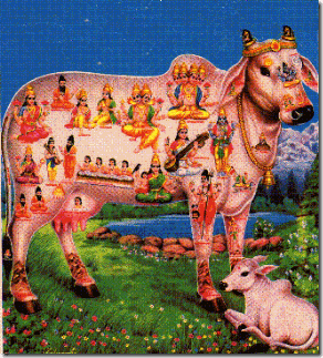 cow-gomatha_vishnu