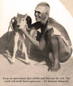 Bhagavan with calf