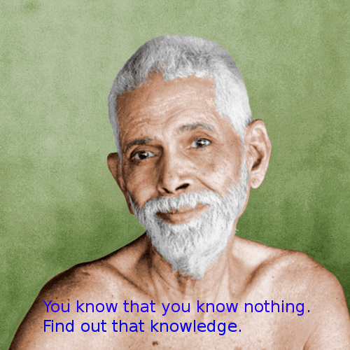 You know that you know nothing.