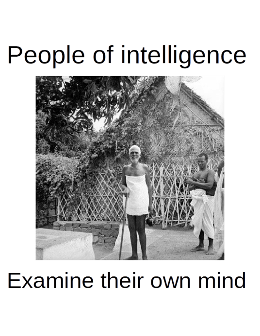 People of intelligence examine their own minds