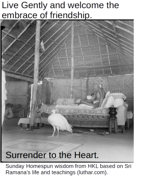 Live Gently and Embrace Friendship - Sunday Wisdom from HKL