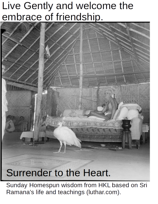 Live Gently and Embrace Friendship - Sunday Wisdom from HKL